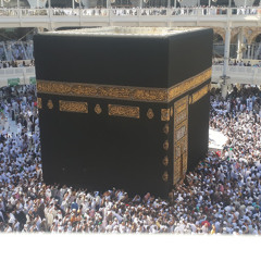 القناة السلفية الجديدة