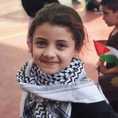 ayman khalifa
