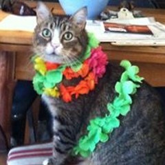 Thomas Michael Whyte III