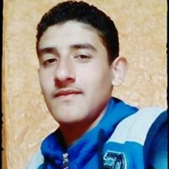 محمد محمود