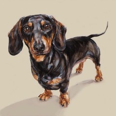 Стоян Черкезов (TECHDOG)