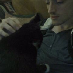 Dafydd Llewellyn Williams