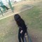 Noor Naz