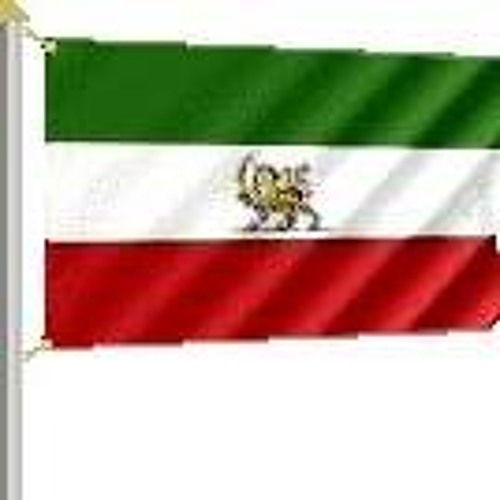 محسن ارستانی ( رفیق نارفیق من ) .