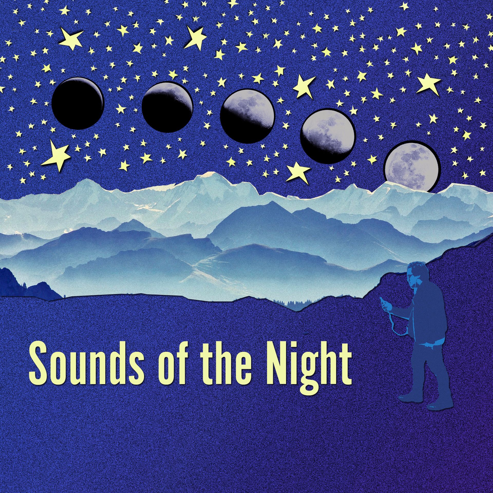 Sounds of the Night
