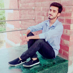 Ali Hamza