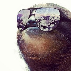 Gangster Sloth