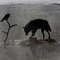 Ravenwolf