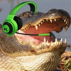 GatorGamer