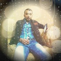 الصقر شاهين