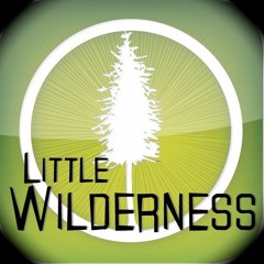 Little Wilderness