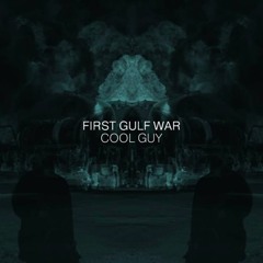 first gulf war