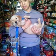 Emad Bampino