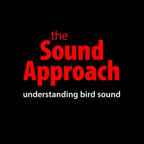 The Sound Approach’s avatar