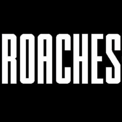 Roaches
