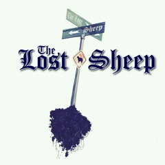 lost sheep