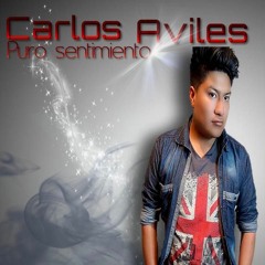 Carlos Aviles oficial