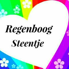 Regenboog Steentje
