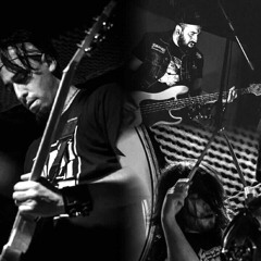 PARTE   DE   LA   ESPECIE