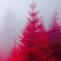 np