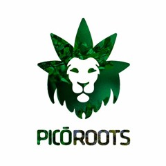 picoroots da montanha