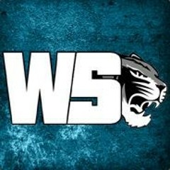 WsTiger