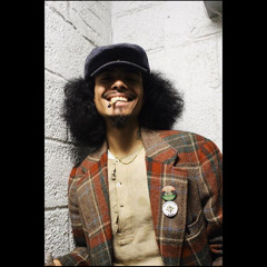 ShAmeek's Perception