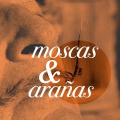 Moscas y Arañas