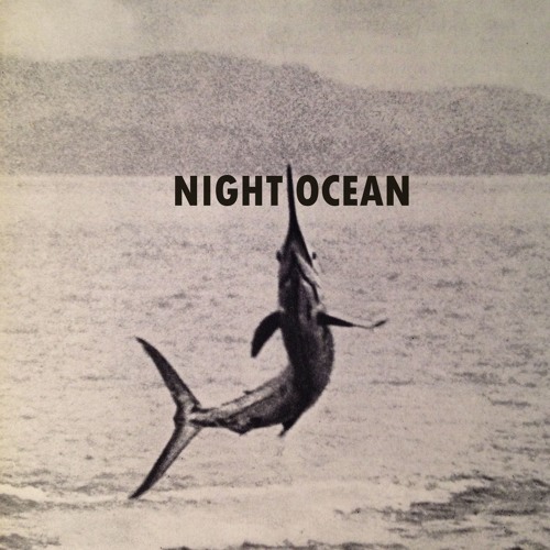 Night Ocean’s avatar