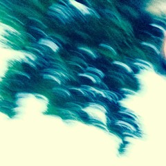 The Yellowtailed Elk