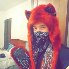 Wubby Dubby