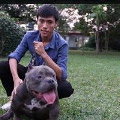 tô văn vũ