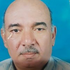 ريهام ممدوح المتناوي