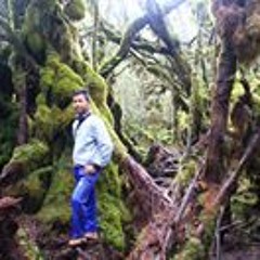 Joan Ilham Septayudi