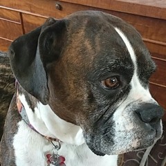 George