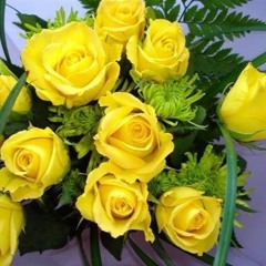 وحياتك يا بلدنا .. غناء عبداللطيف التلباني كلمات شعبان حسان