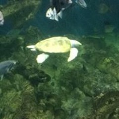 Zak N Jessica Miller