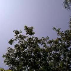 DigitalSpa - Hernán Maya