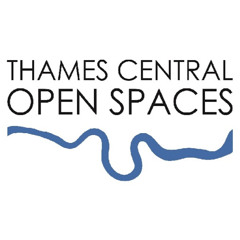 Thames Central London