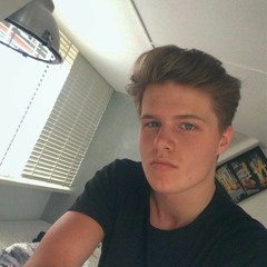 nielsGortworst