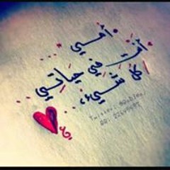 user101475067