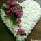 yasir.