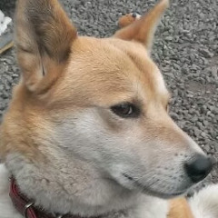山田圭介