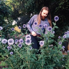 Alexander Maisenhelder