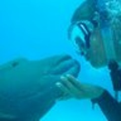 Dive-Buddy