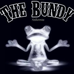 The Bundy EnterthePond