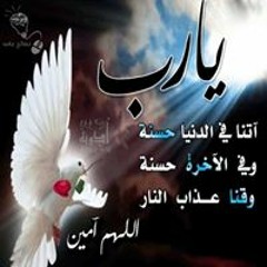 محمد حربي