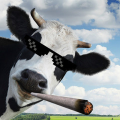 Hurtful Cow