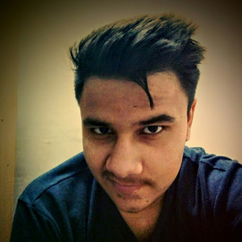 hamendra chauhan’s avatar