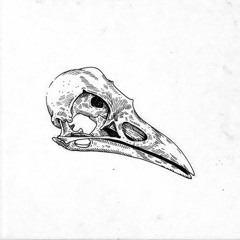 Birbz Audio Engineering